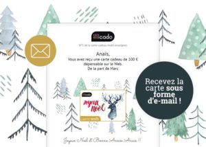 carte cadeau d'entreprise au format électronique